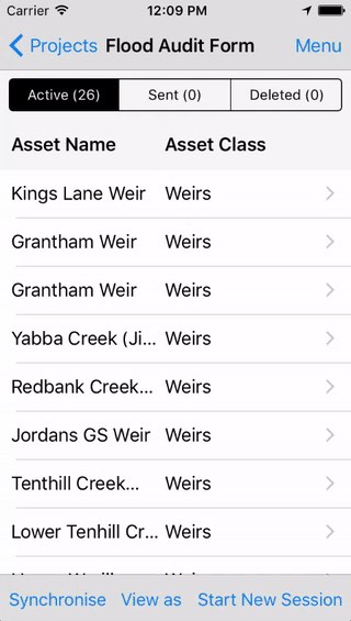 Use case flood audit overview